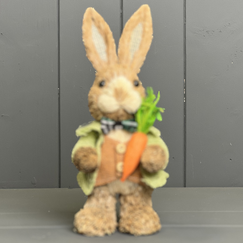 Rabbit with Green Jacket Holding a Carrot detail page
